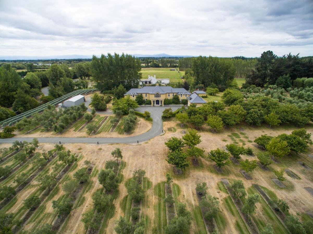 Farm stay Clearwater Olive Estate