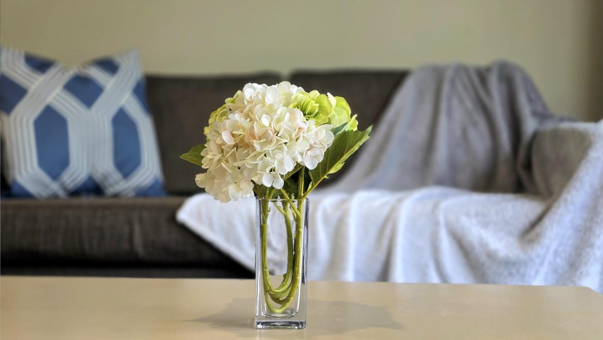Motel Tower Junction Motor Lodge: With Free Railway Shuttle Christchurch