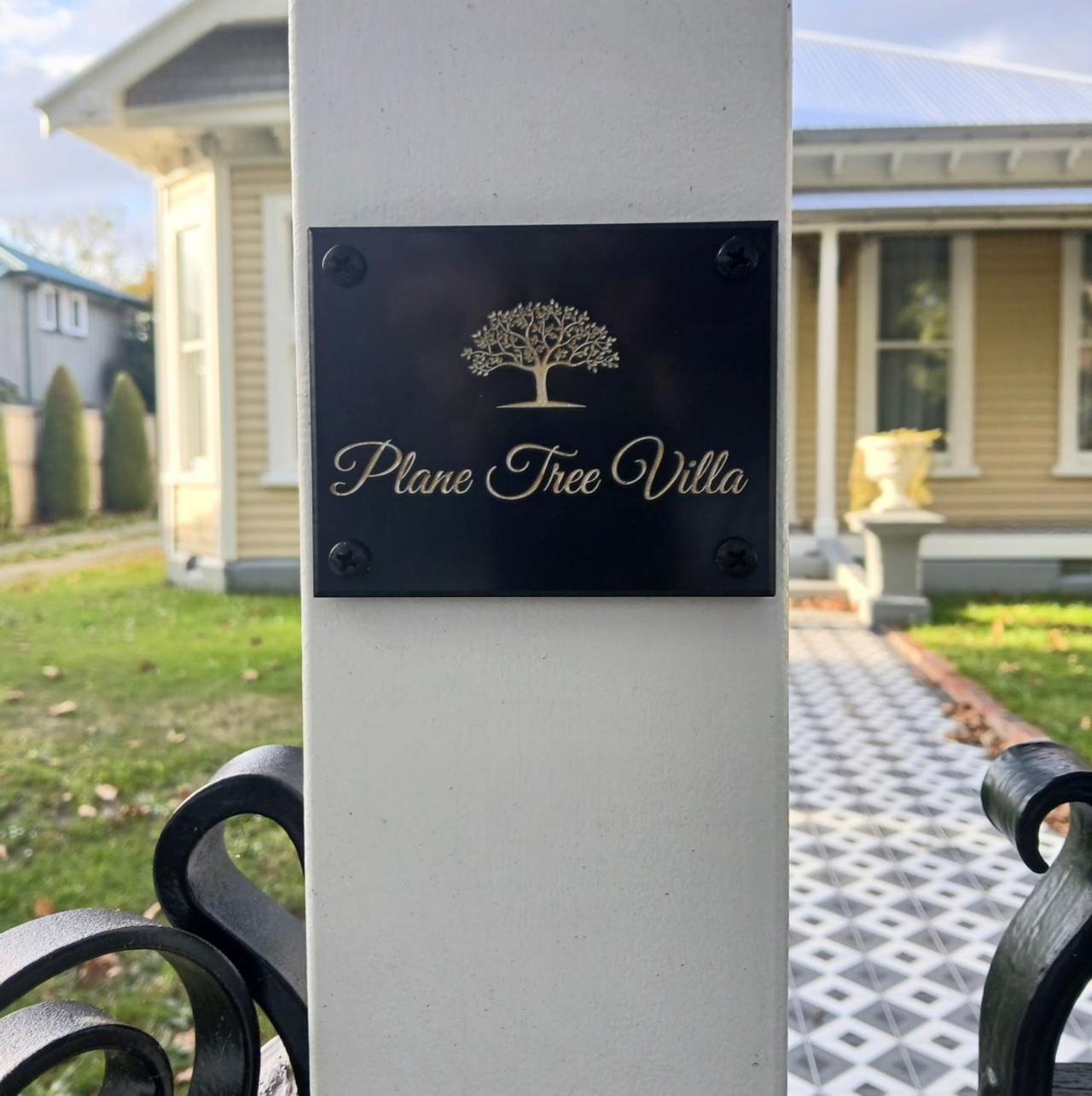 Plane Tree Christchurch