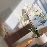 7*7 Holiday Home
