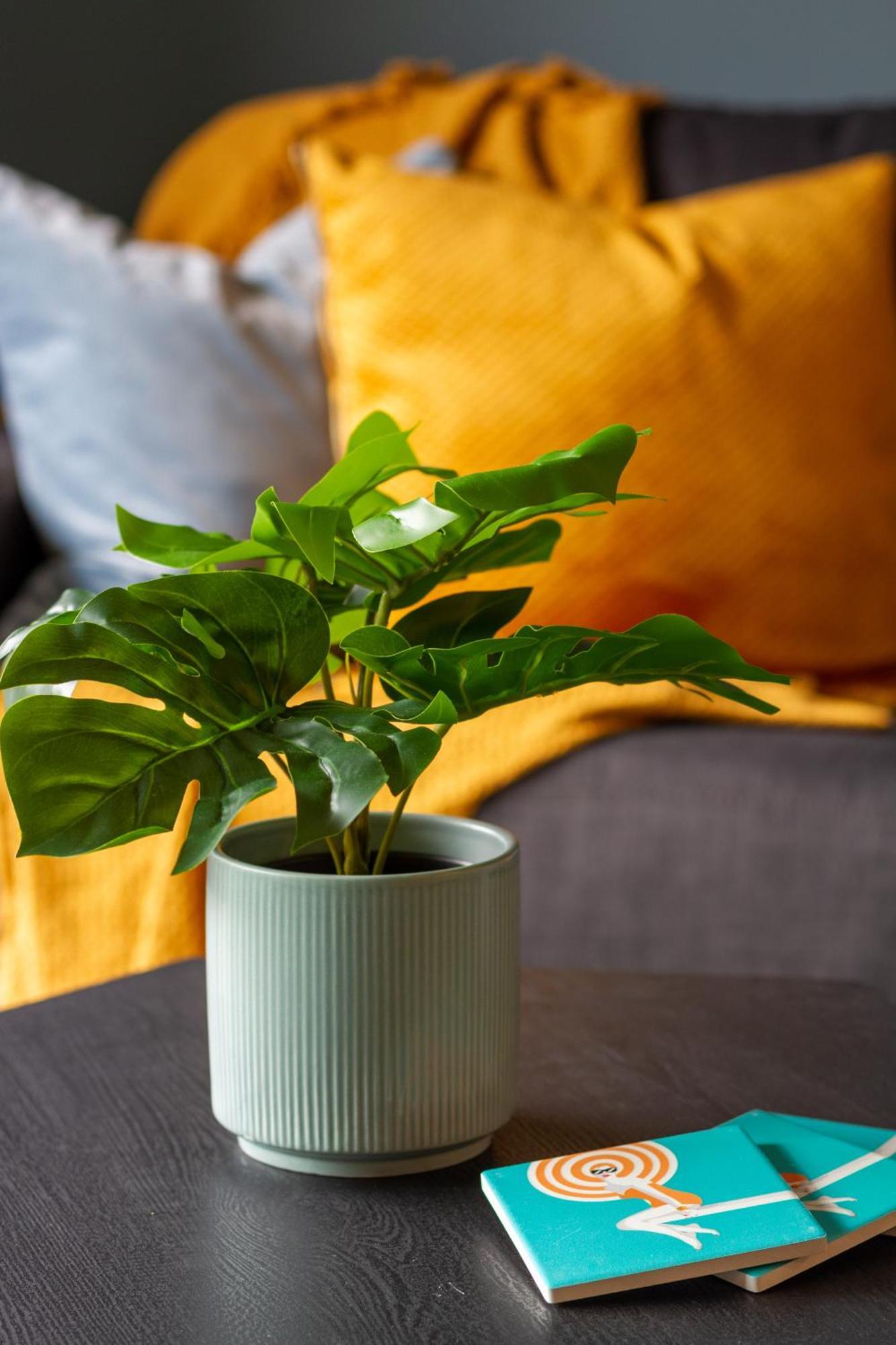 Apartment Serene 2 Bed Cbd Retreat Christchurch