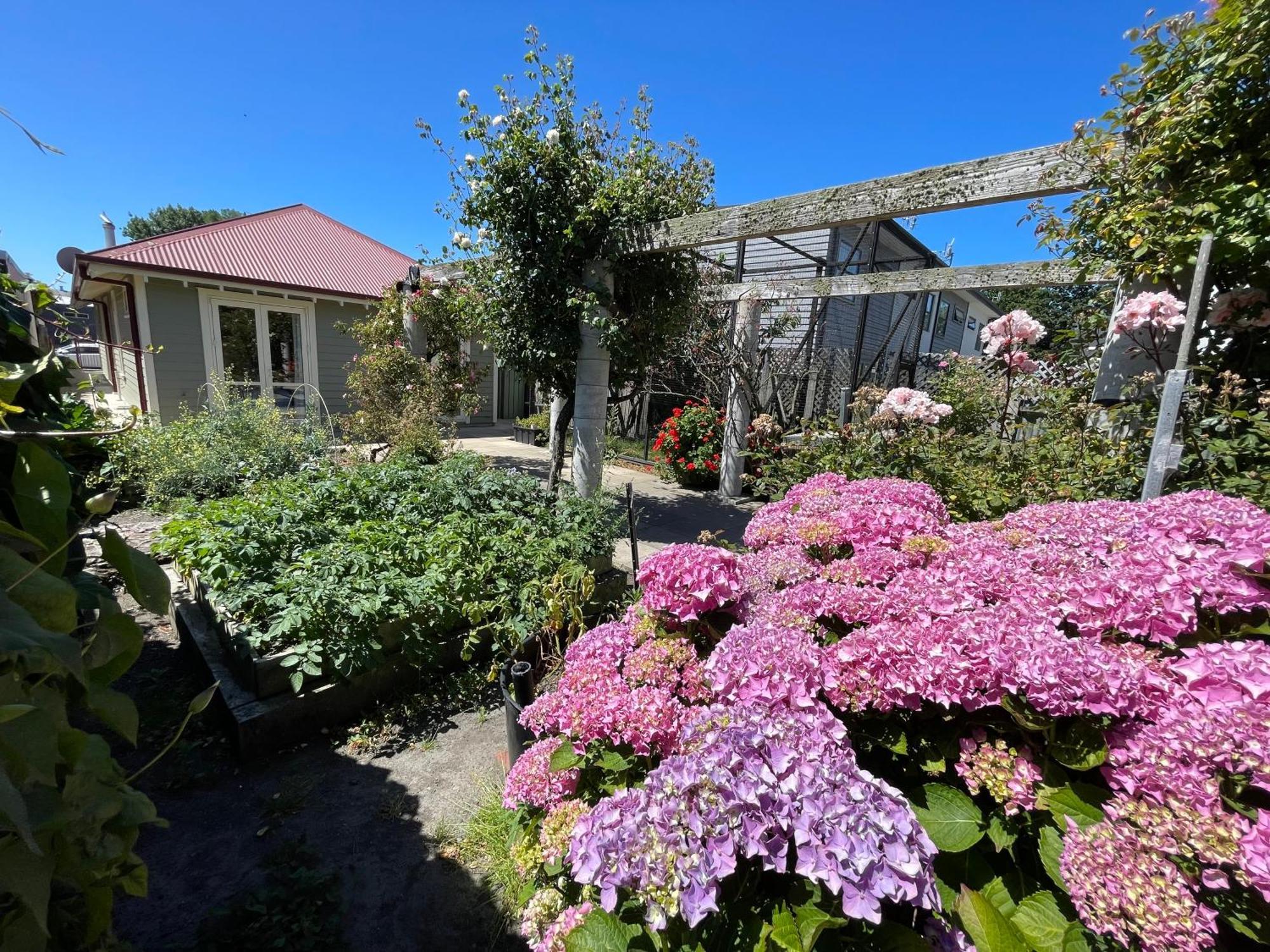 Cosy & New Cnzhouse With Yard Guest house *