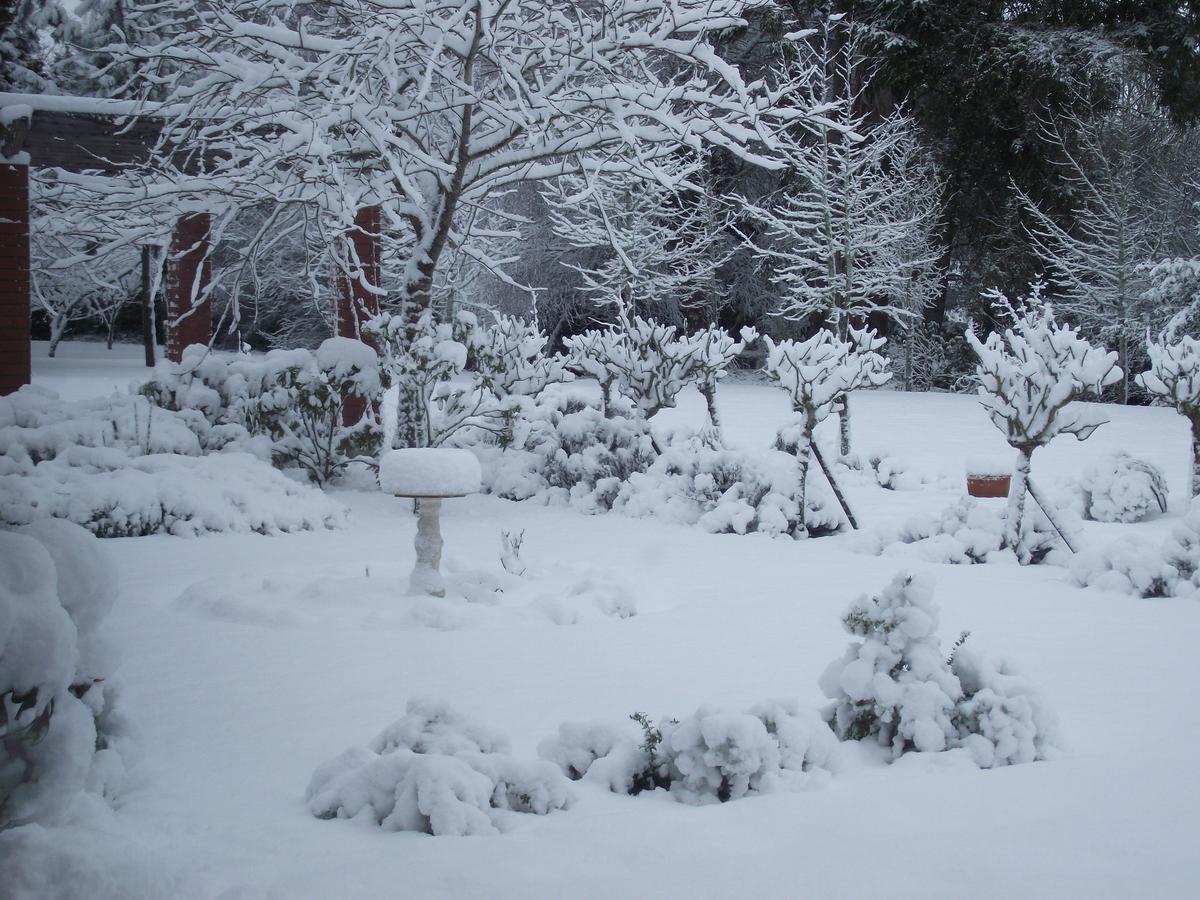 Bed & Breakfast Shamrock Garden Airport 4*