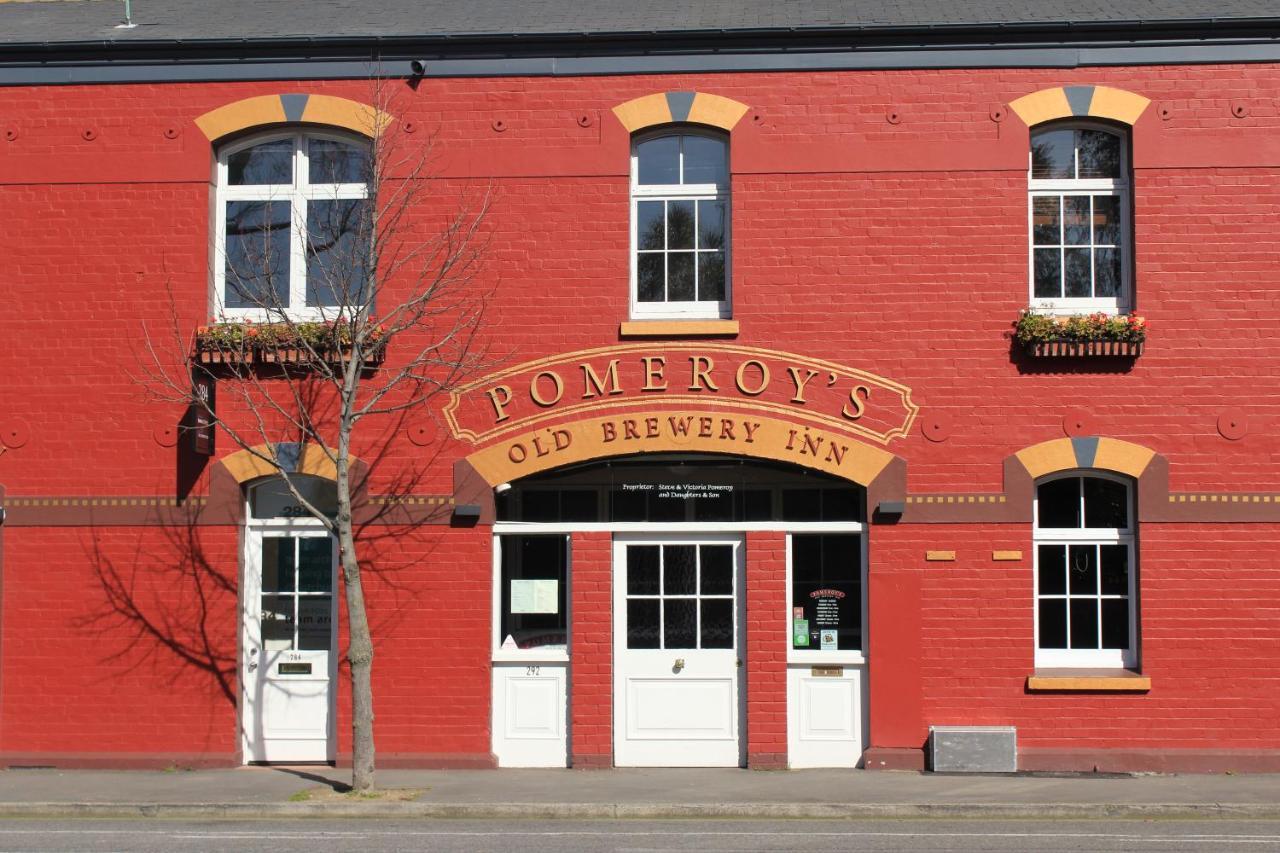 Hostel Chester St Backpackers *