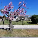 Homestay Triple Room, Near The City Center