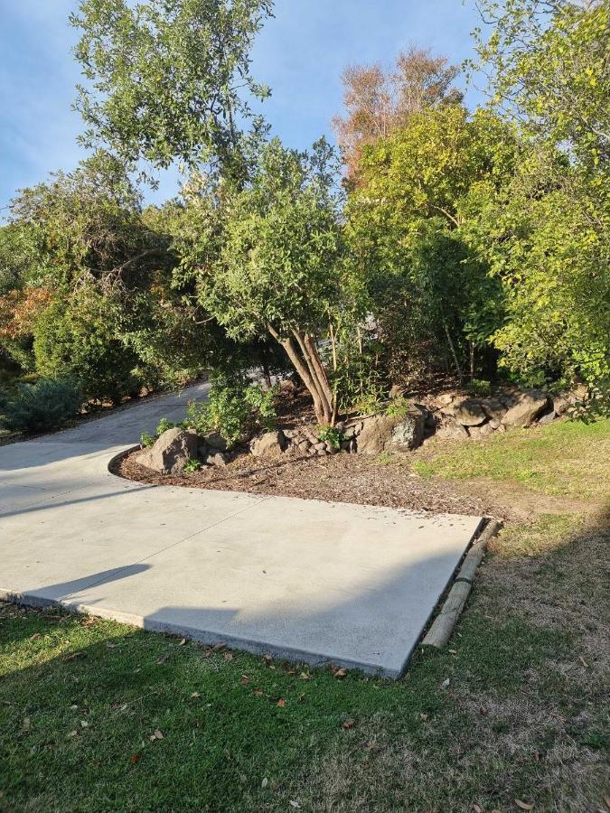 Janice Studio -- Holiday Homes * Christchurch