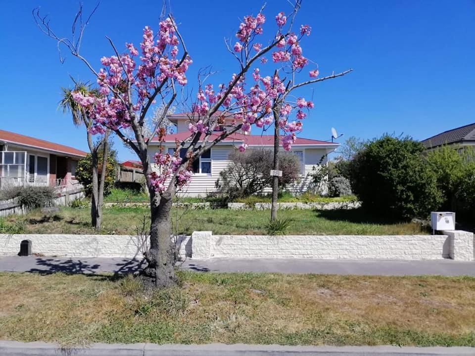 Family Room, Near The Center * Christchurch