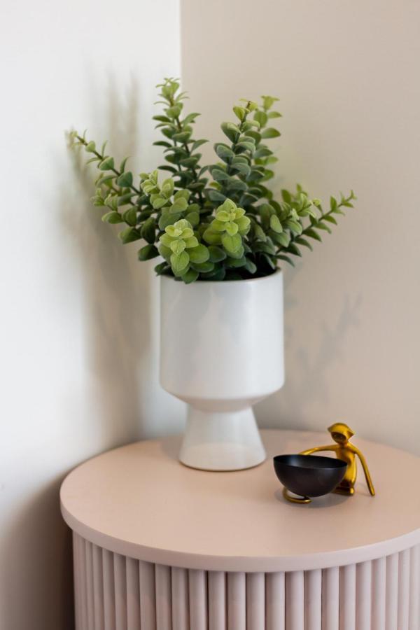 Beautiful Gem By Hagley Park, Chch Apartment *