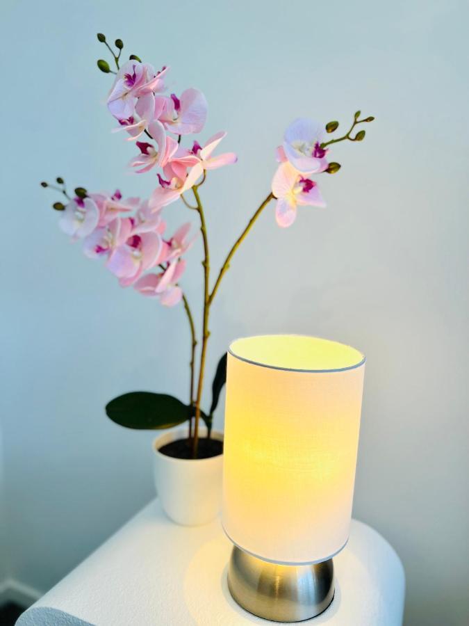 Walking Distance To Riverside Market & Hospital Apartment Christchurch
