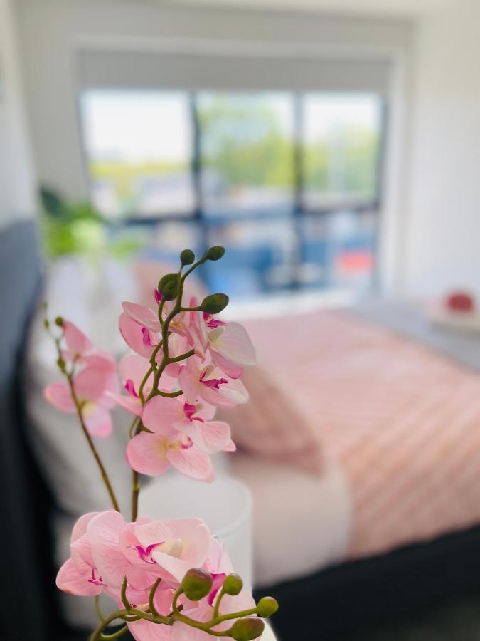 Apartment Walking Distance To Riverside Market & Hospital