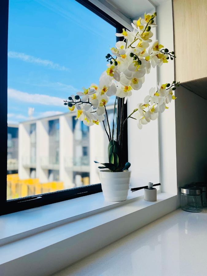 Walking Distance To Riverside Market & Hospital Apartment Christchurch