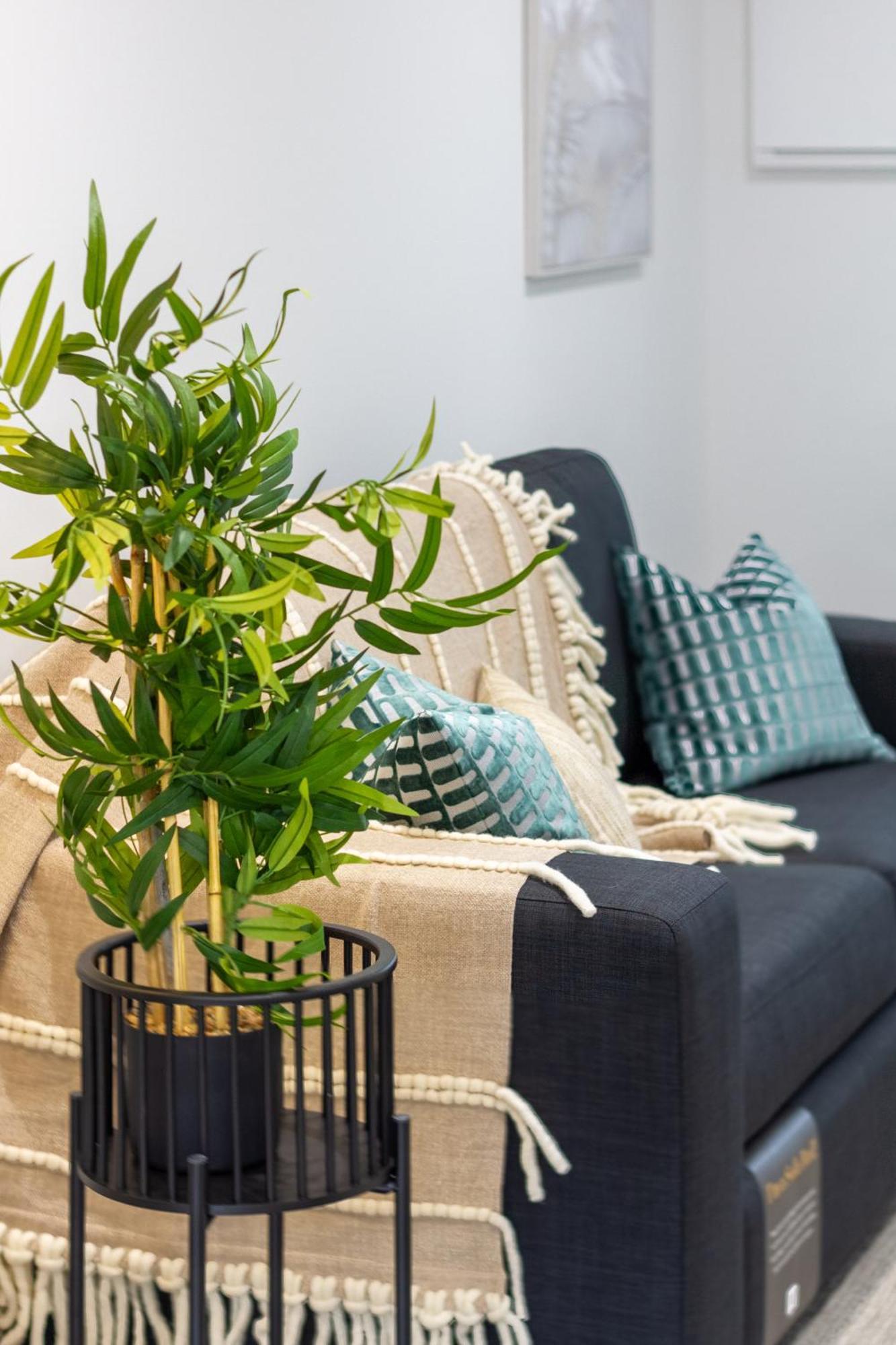 Apartment Style Meets Comfort 2 Bed Chch Cbd Christchurch