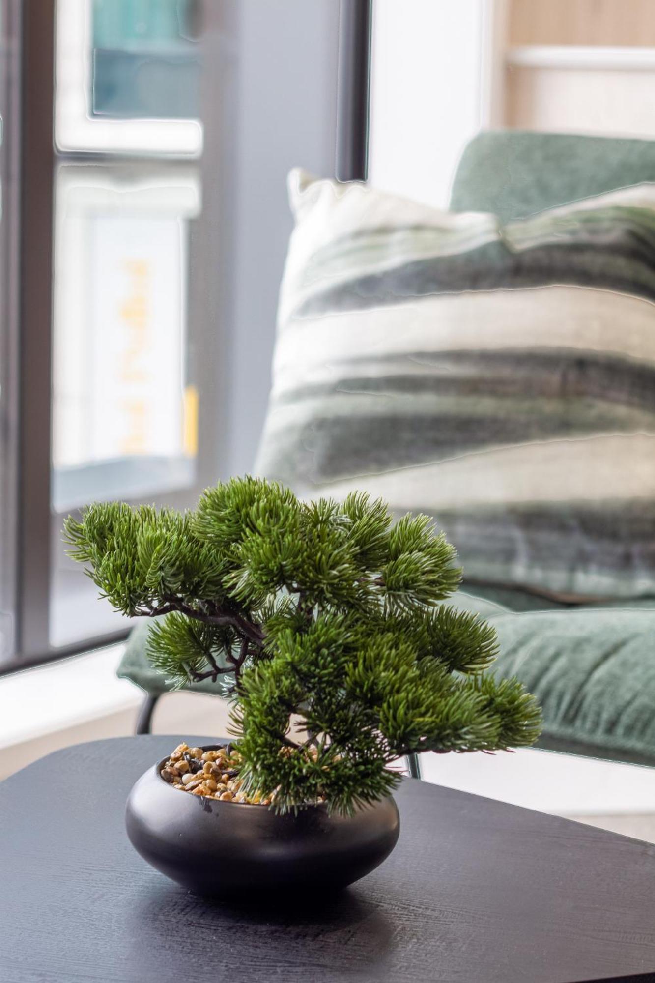 Chic 3-br Cbd Gem In Christchurch: Prime Location * Christchurch
