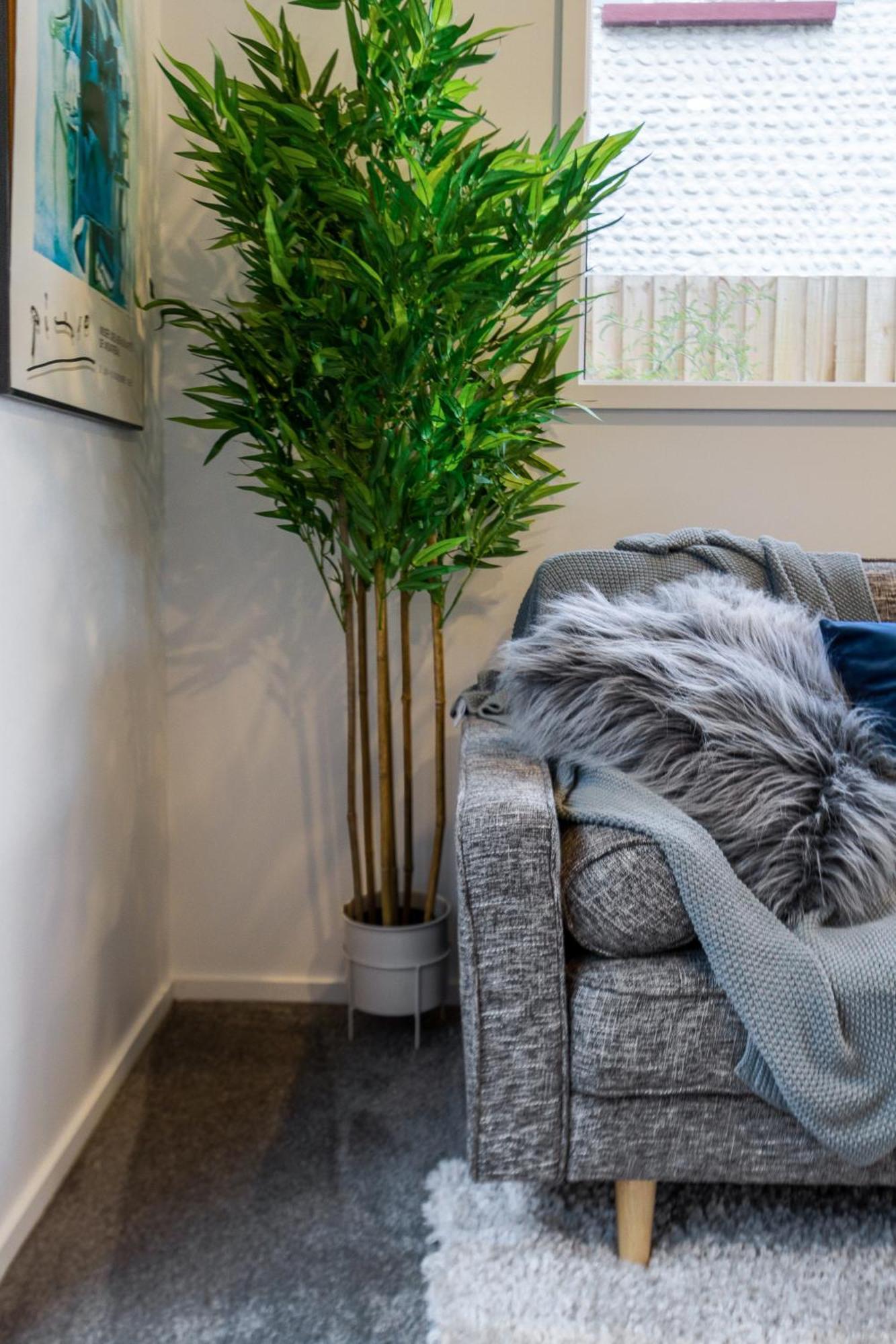 Explore Addington And Cbd 1 Bed W/carpark * Christchurch