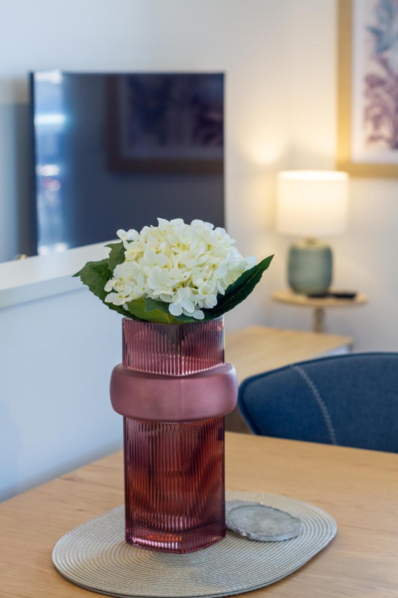 Apartment Bliss: Explore From Wilmer St Christchurch
