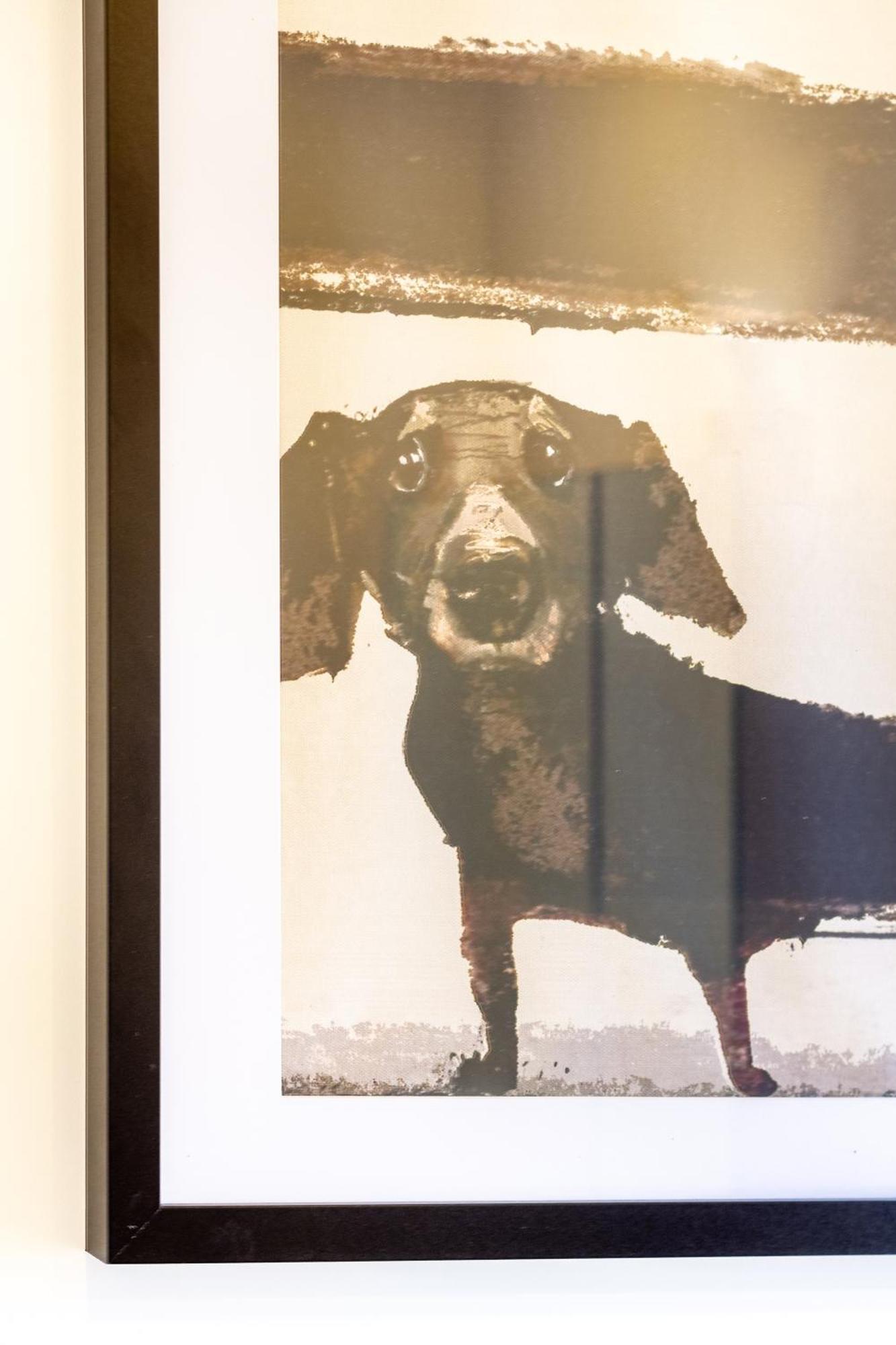 Apartment Charm: Pet-friendly Christchurch