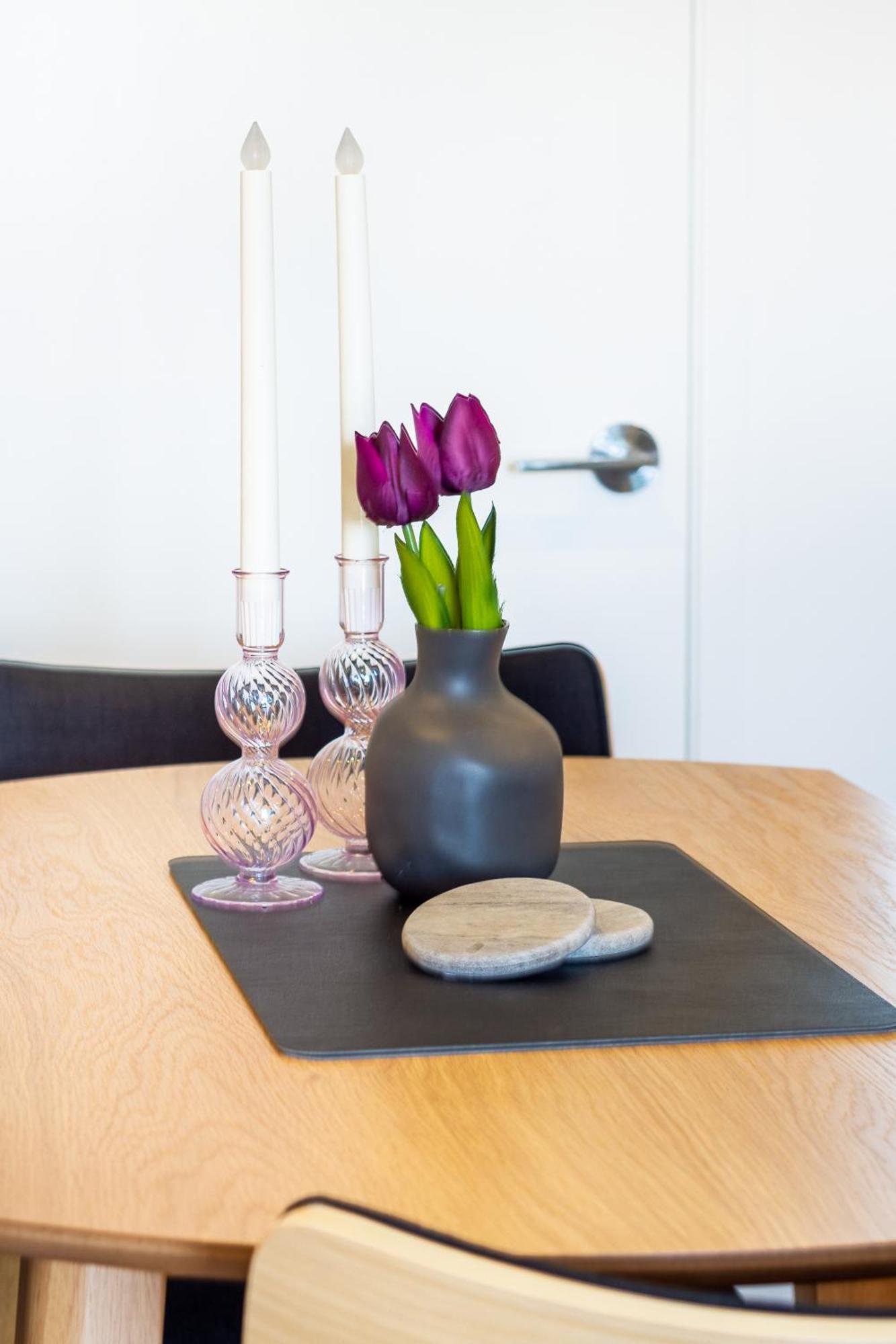 Apartment Charm: Pet-friendly