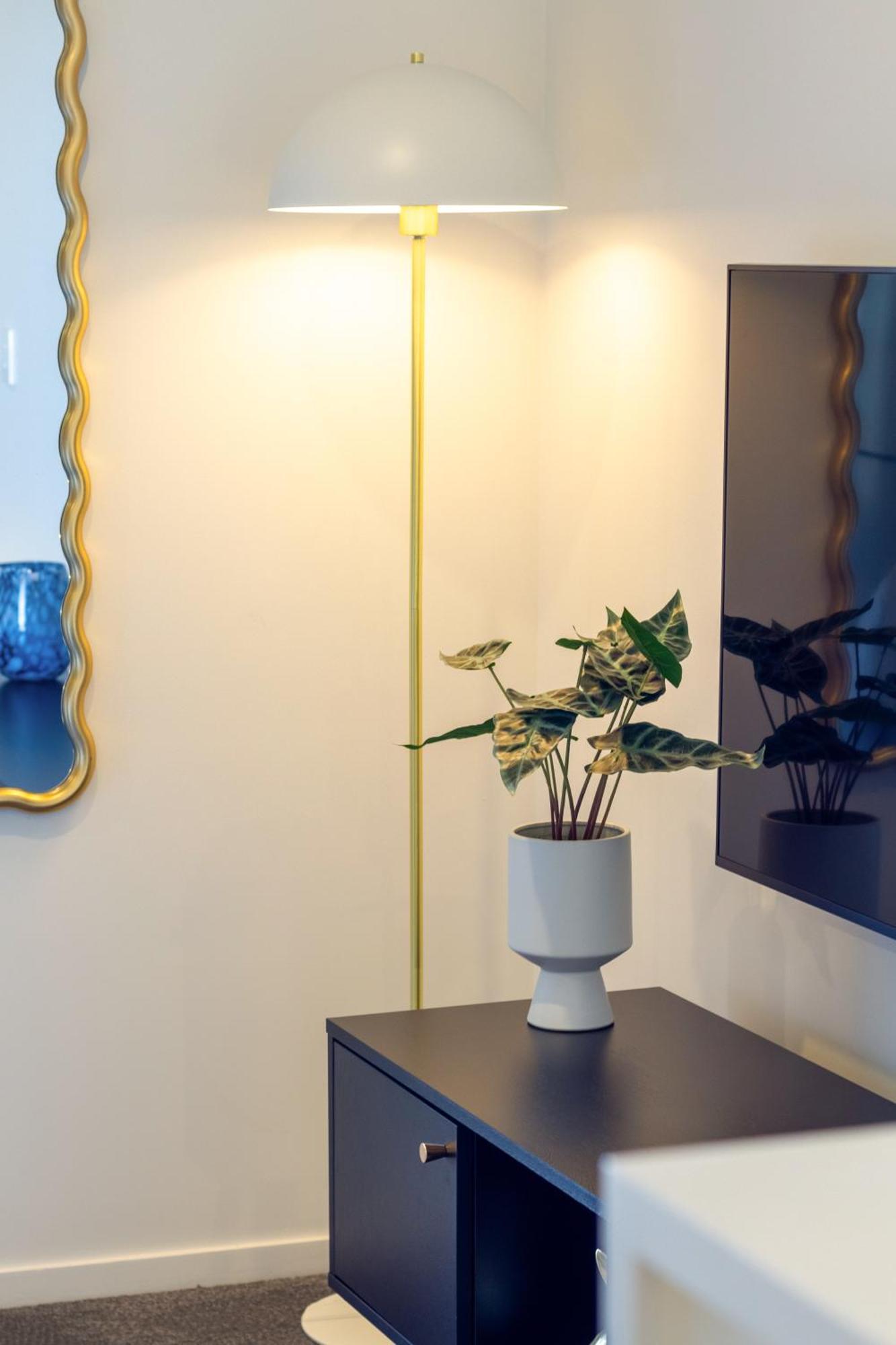 Explore From 8 Wilmer: Upper Level Cozy *