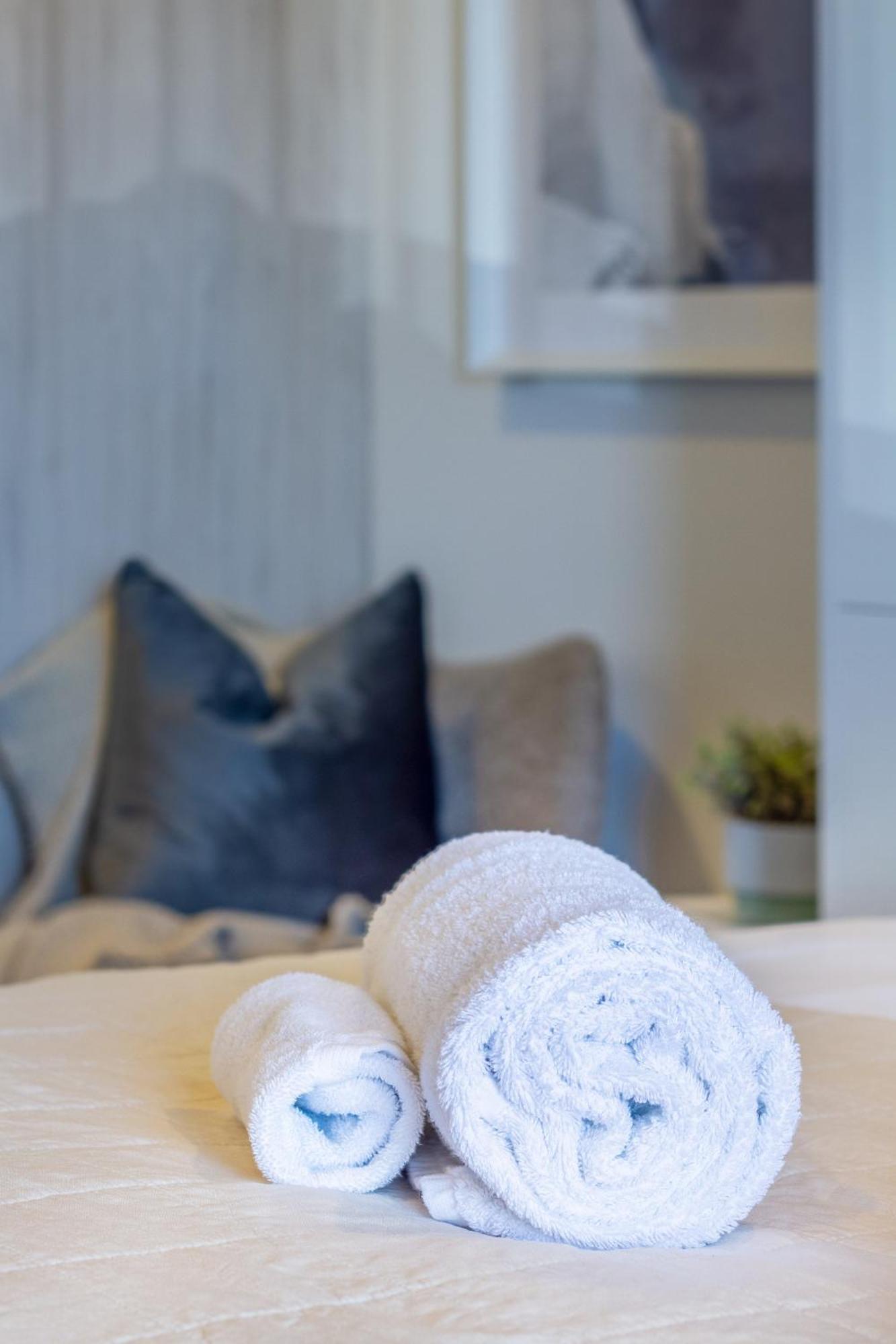 Explore From 8 Wilmer: Upper Level Cozy Apartment