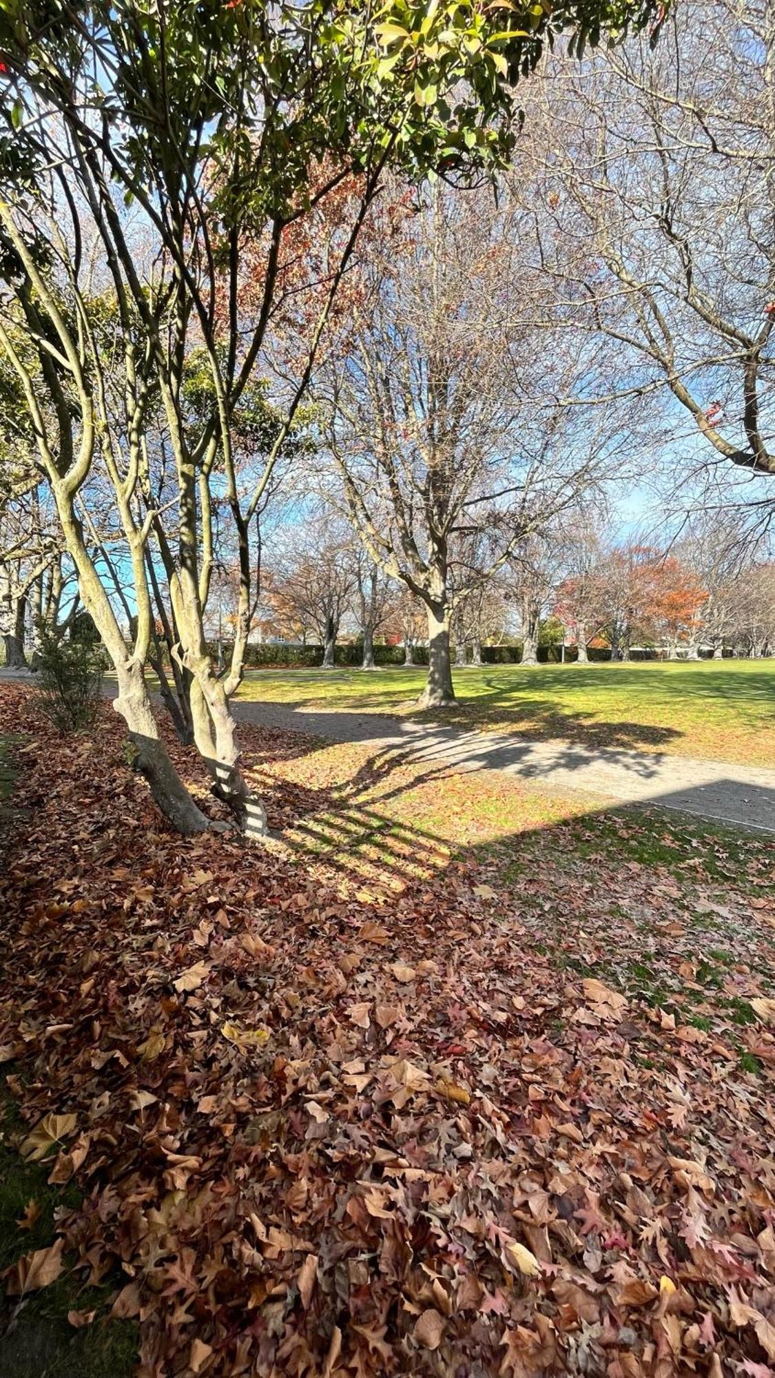 Luxury 2 Bedroom By St Park Holiday home Christchurch