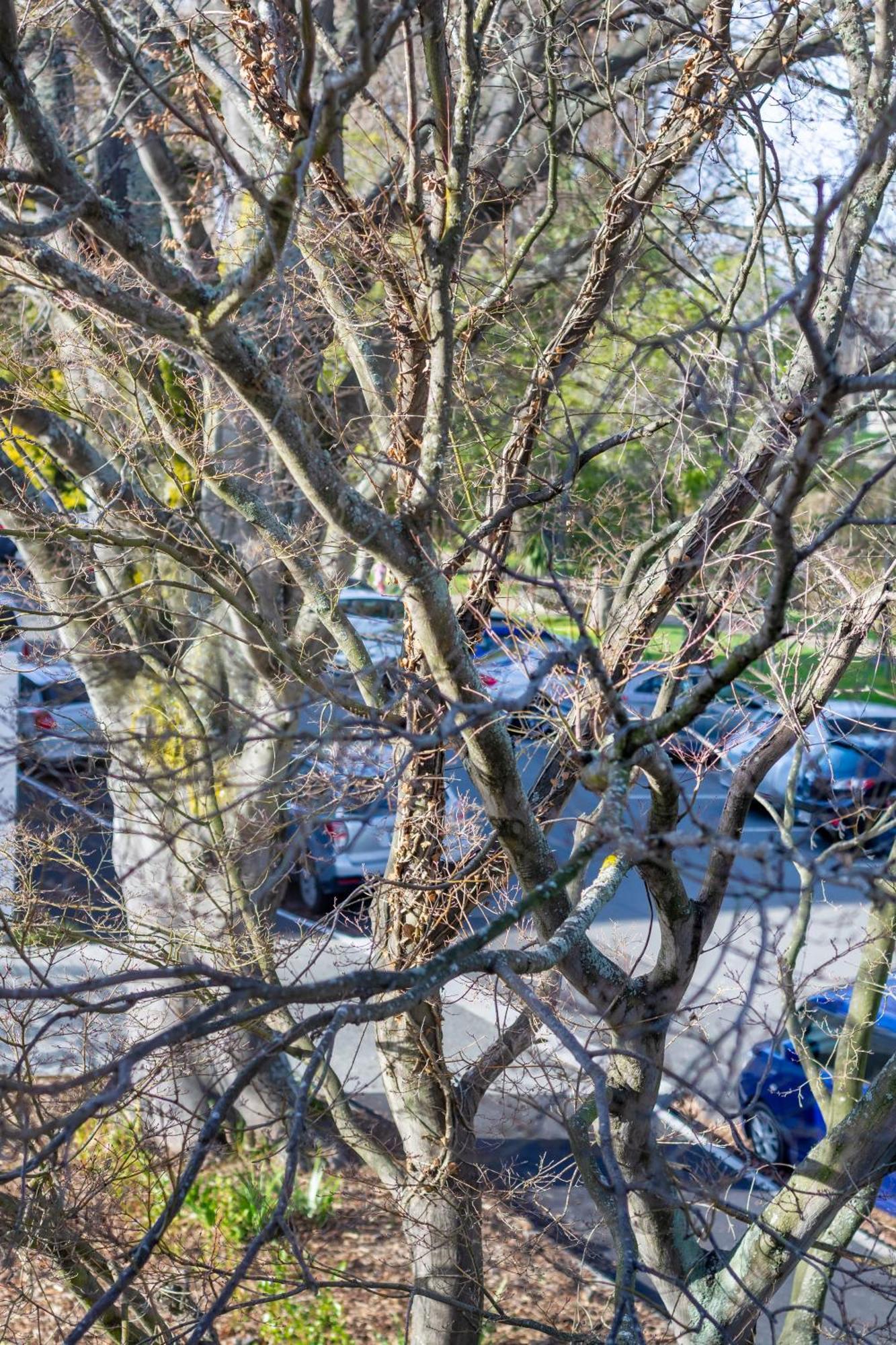 Apartment Warm With 2 Free Carparks Christchurch
