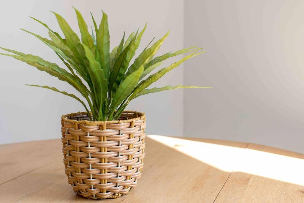 Exceptional Value For Money Sunny Warm 5 Mins Cbd Christchurch