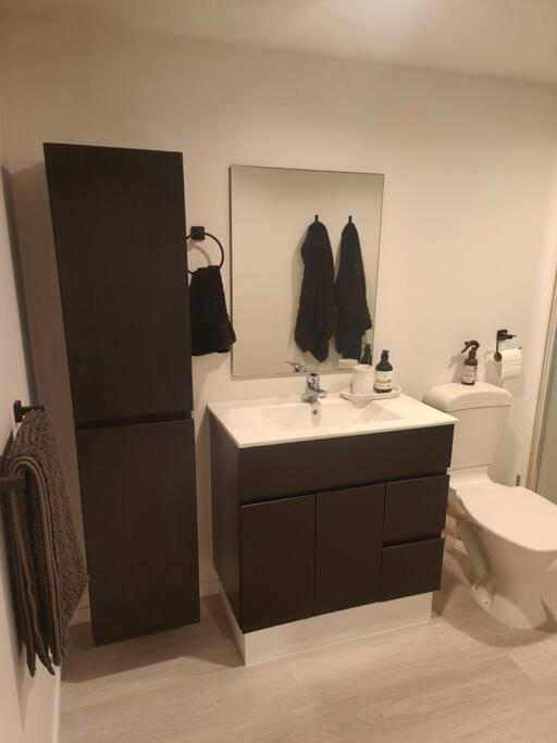 Beautiful Near Everything Apartment *