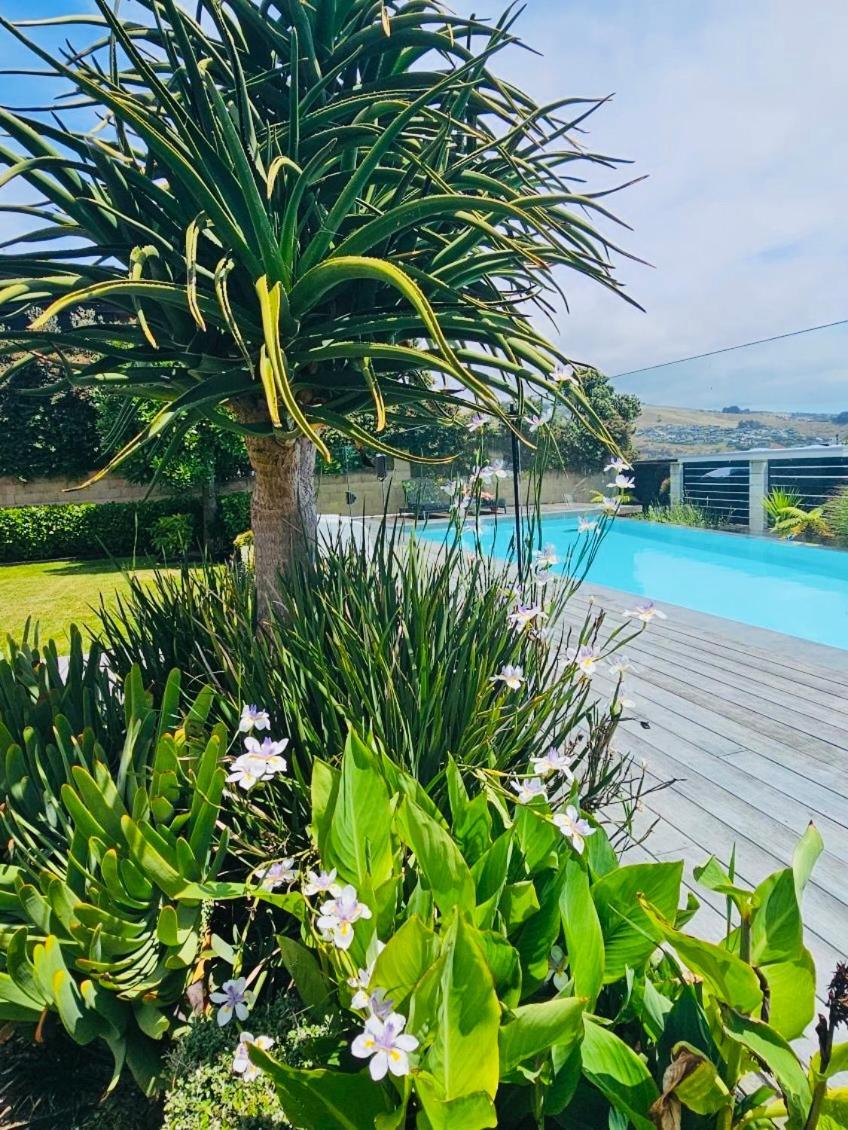 Luxury 2 Bdrm Ground Level With Private Pool Located On Scarborough Hill Sumner Holiday home *