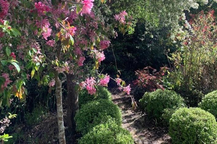 Casterton Cottage, Paradise Garden With Villa Christchurch