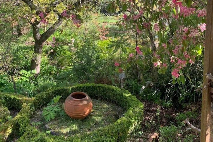 Casterton Cottage, Paradise Garden With