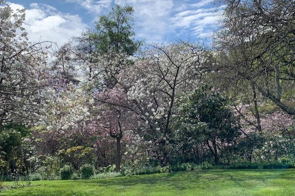 Casterton Cottage, Paradise Garden With