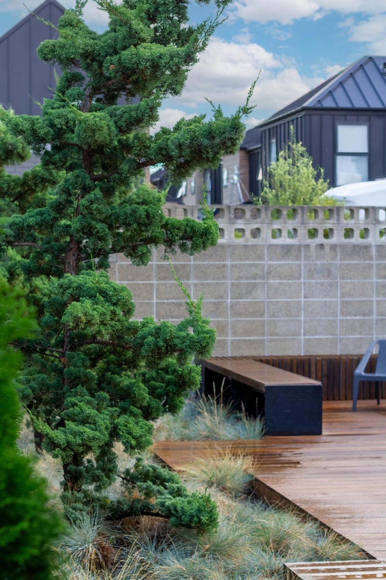 Luxury King With And Private Carpark Apartment