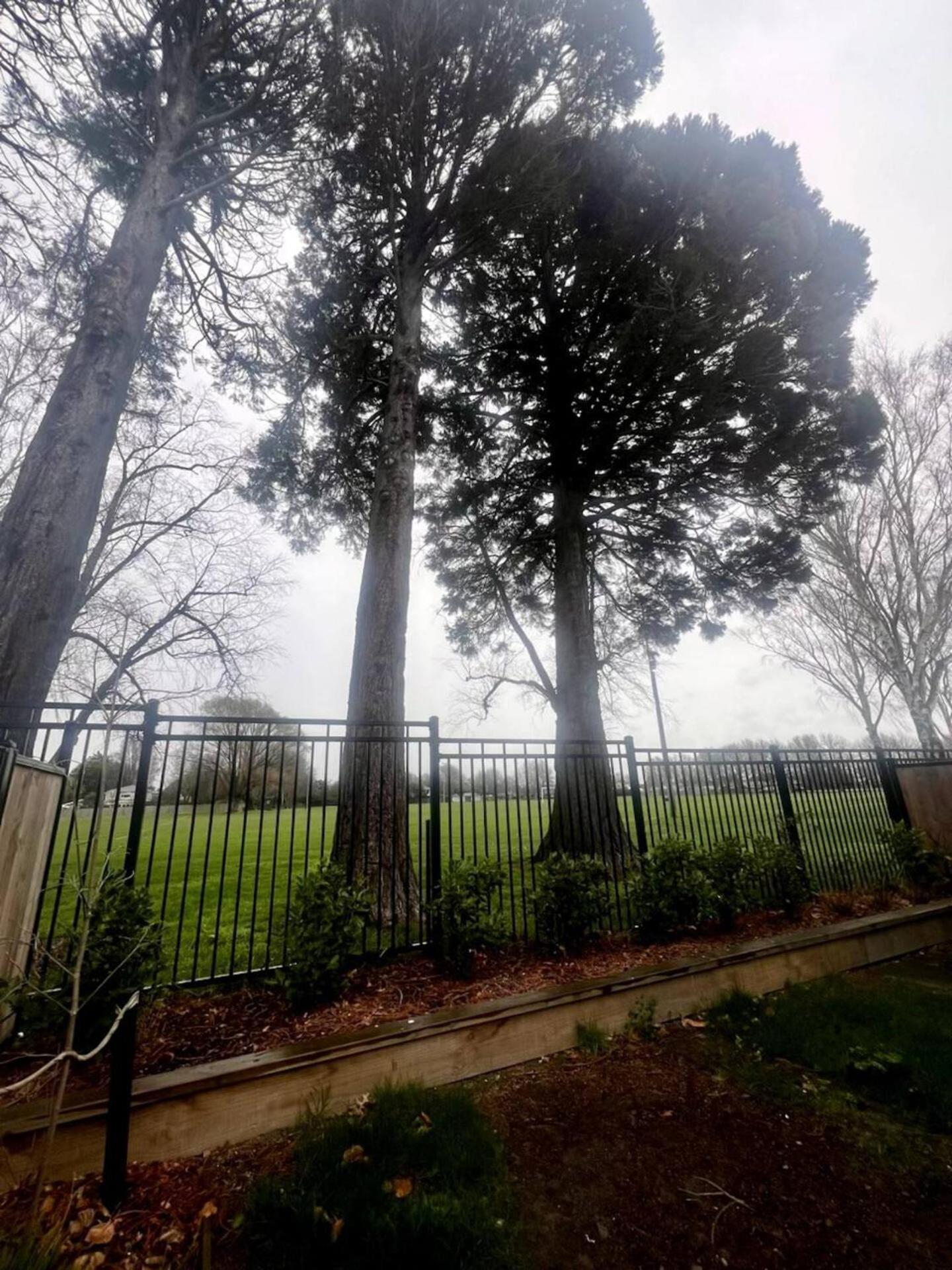 Park At Mohua Guest house Christchurch