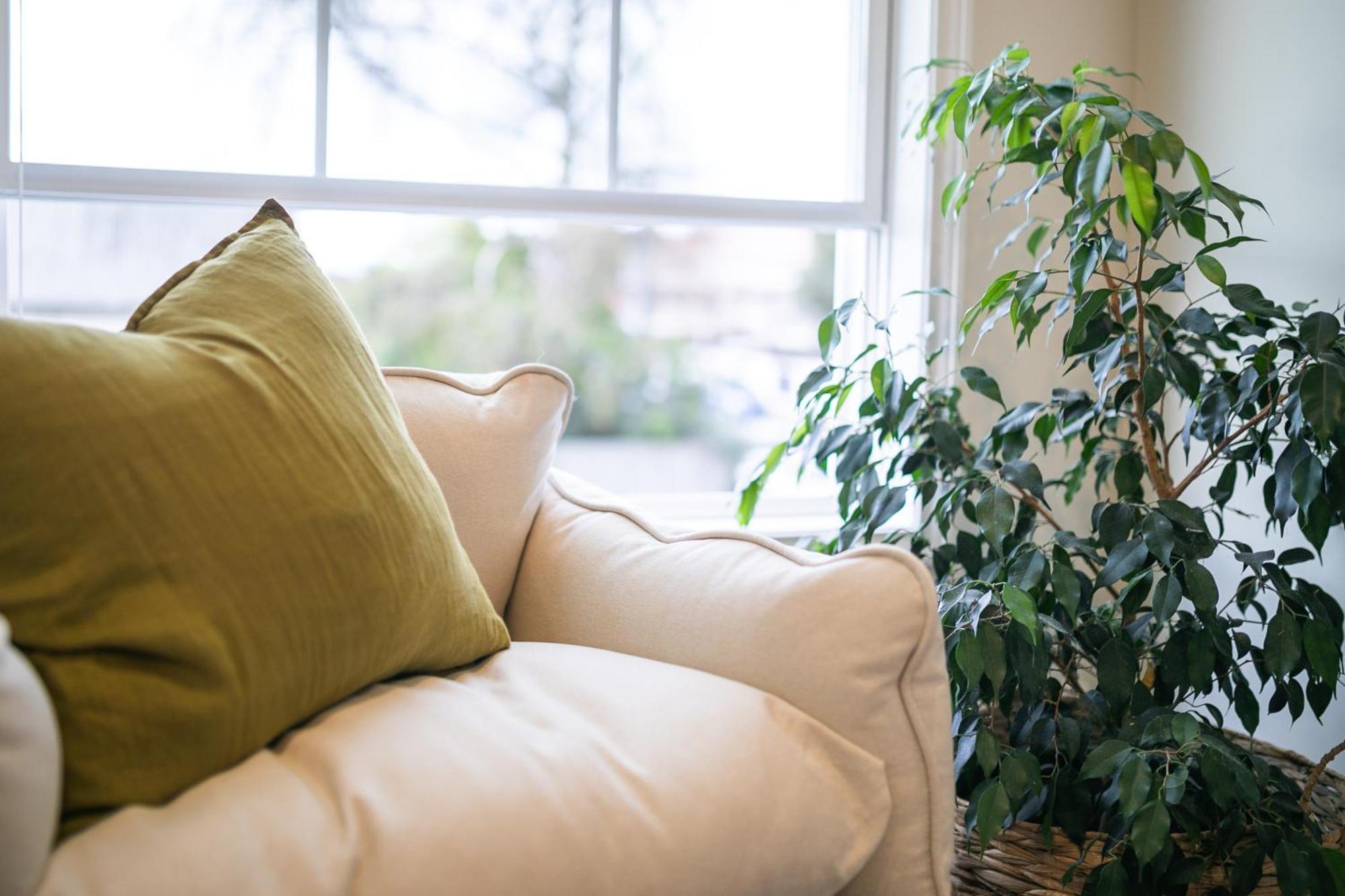 Apartment 3 Bed Family Retreat Classic Charm With Park Views Christchurch