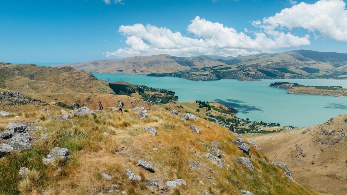 Two Units - 4 Bedrooms - 4 Bathrooms Christchurch