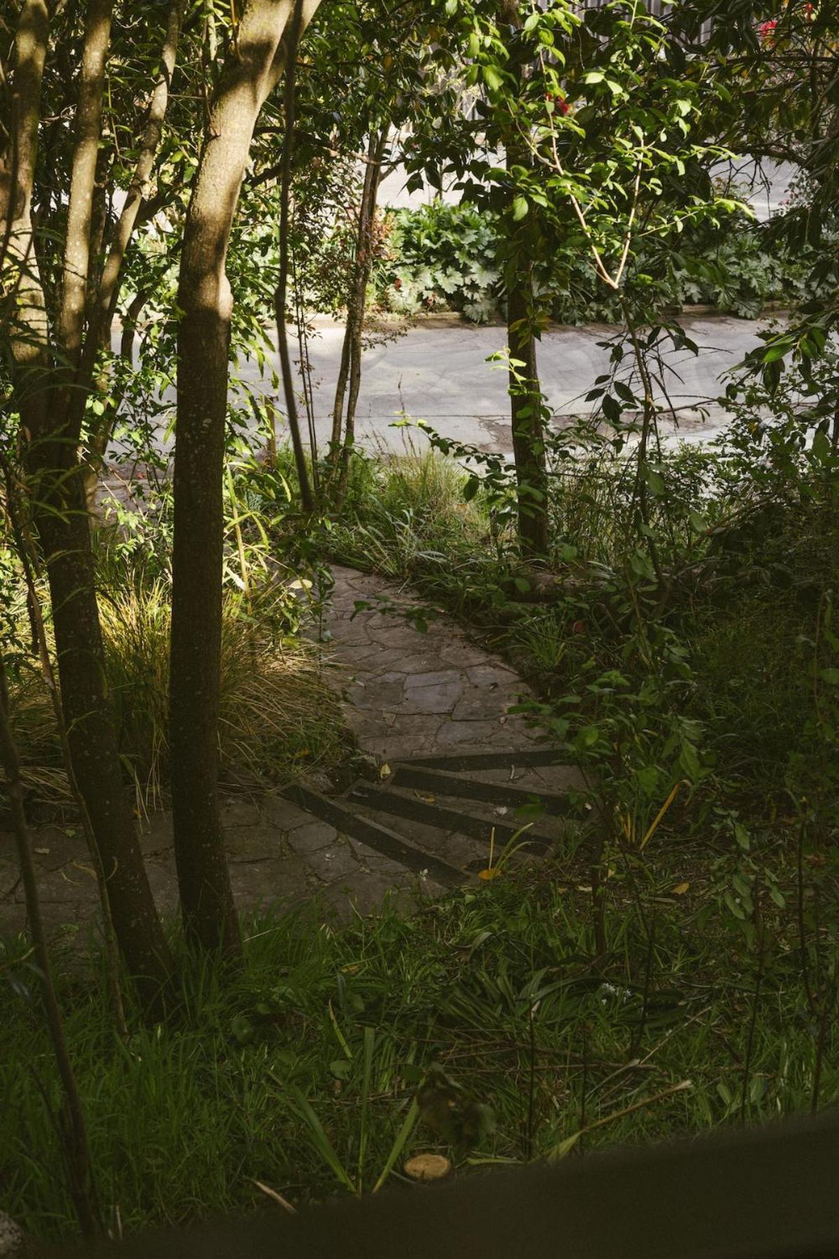 The Bird's Nest - Secluded Getaway! Apartment *