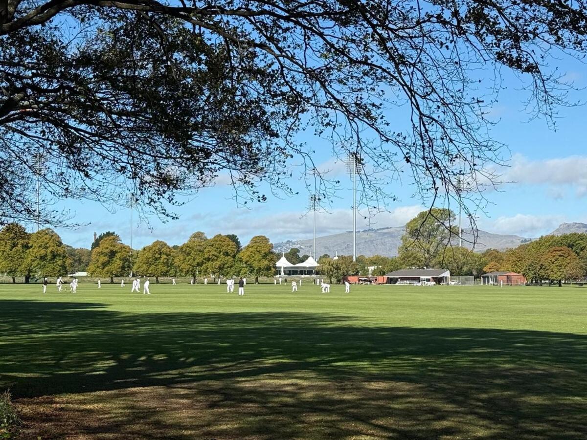 Beautiful Hagley Park View In Cbd Apartment