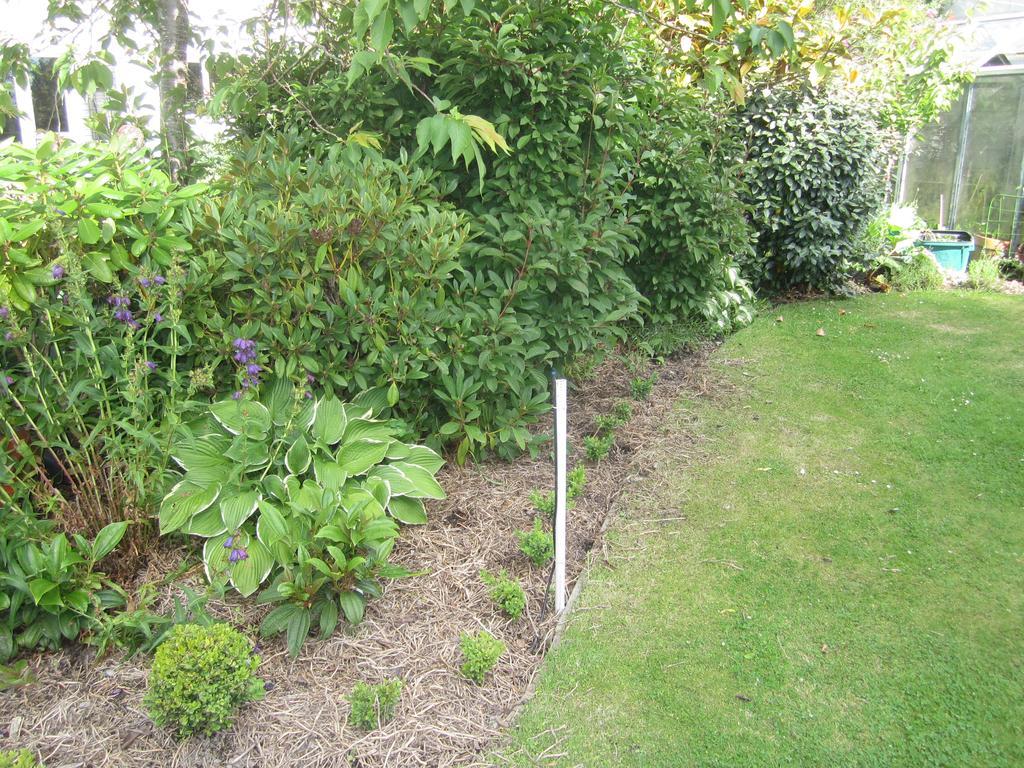 Airport Guesthouse Christchurch Airport 3*