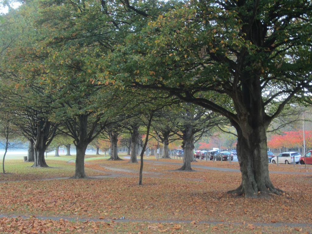 Airport Guesthouse Christchurch Airport Bed & Breakfast 3*