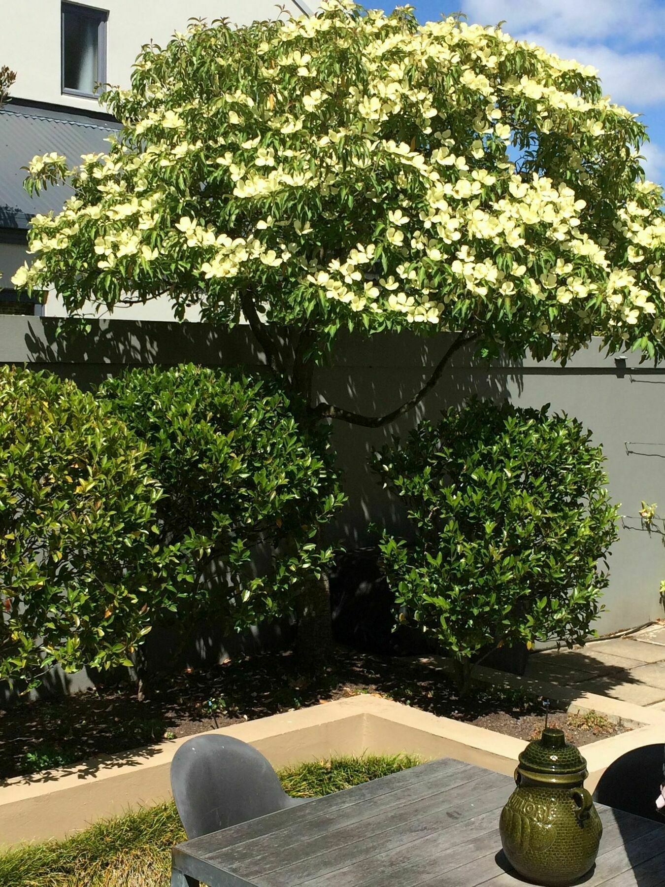 40 Thornycroft Street 5* Christchurch