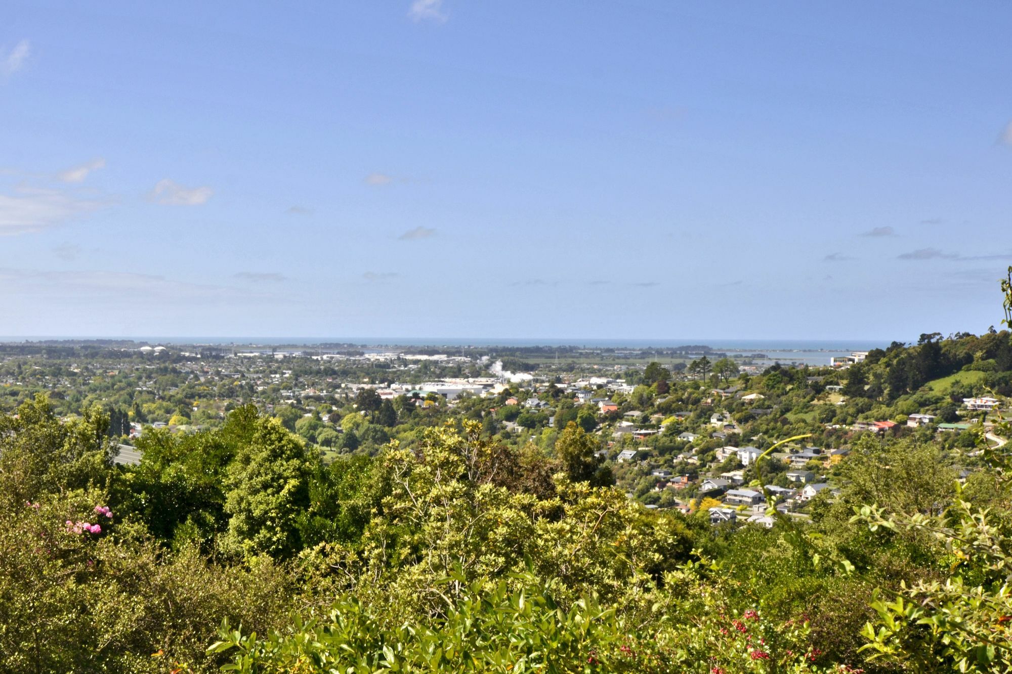 Apartment Black Beauty-hilltop Paradise-house Christchurch