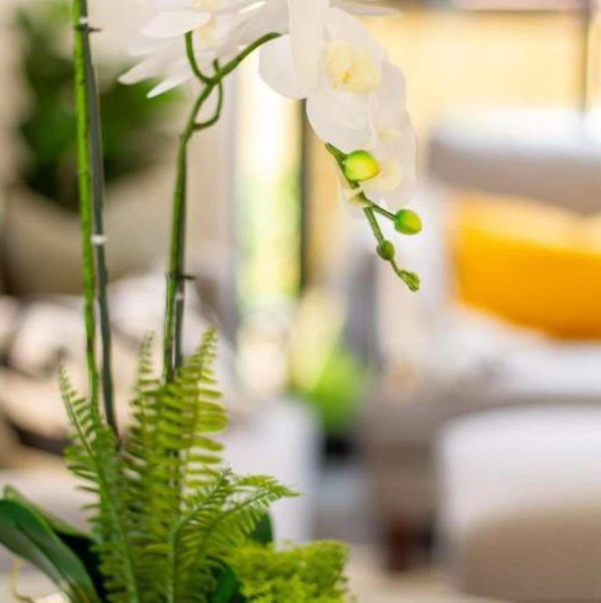 New Sophisticated City Pad *