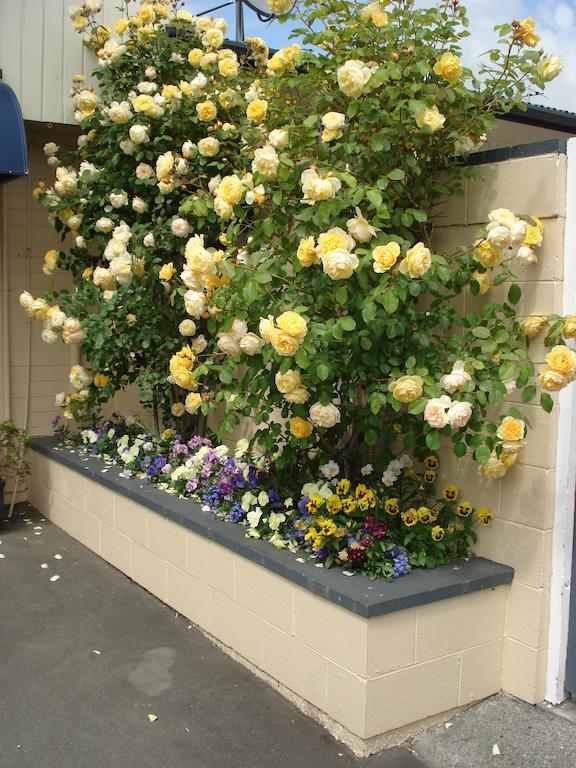 Hagley Park Motel Christchurch