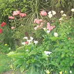 Canterbury House Backpackers