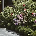 St James Bed And Breakfast