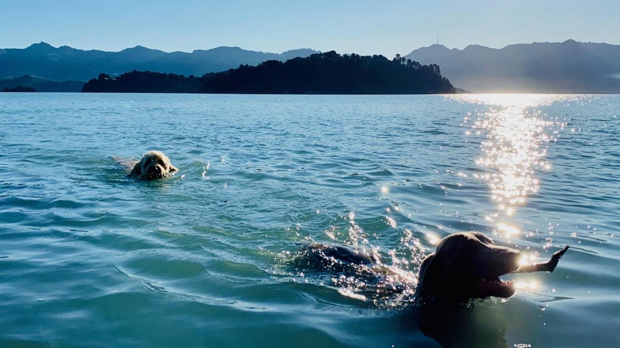 Diamond Harbour Hidden Gem Holiday home