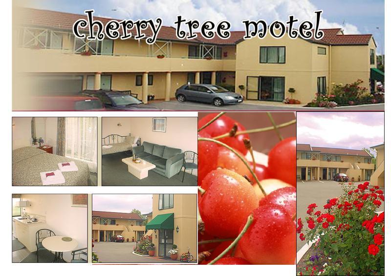 Motel Cherry Tree 3*