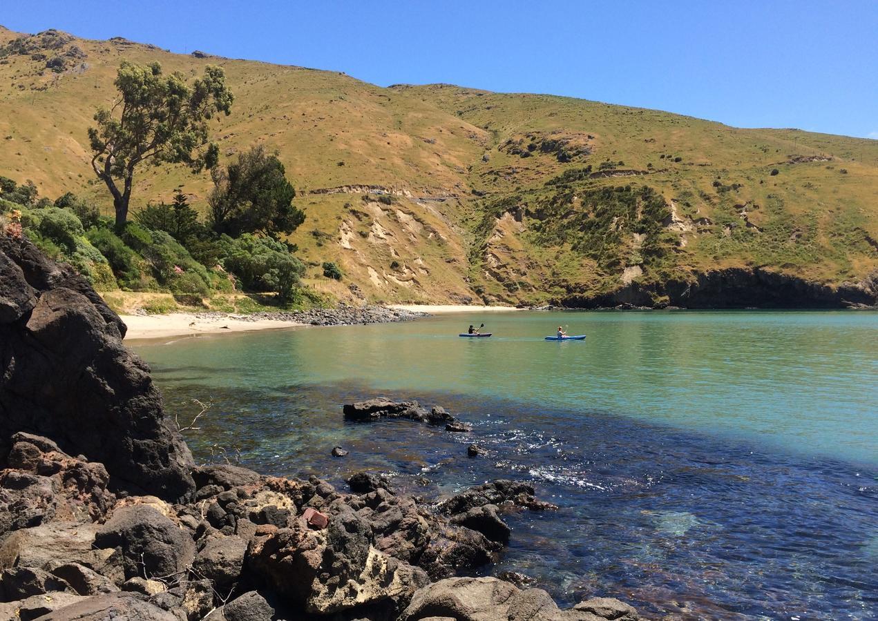 Te Pohue Farm Trails Farm stay