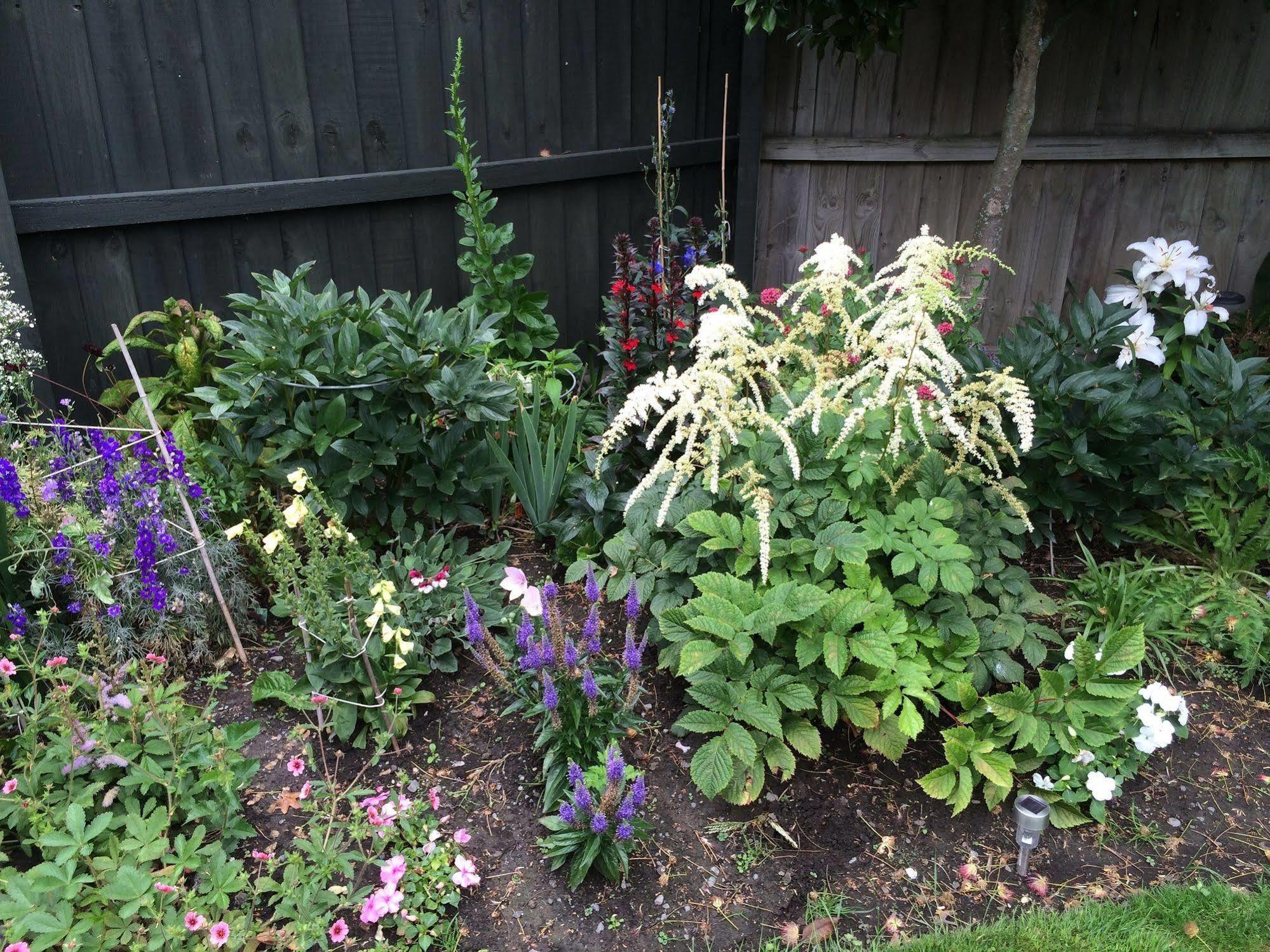 Garden Bed & Breakfast 3*