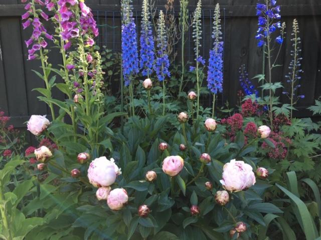 Bed & Breakfast Garden Christchurch